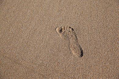 Xbox联动《鱿鱼游戏》赢取限量手柄及游戏柜